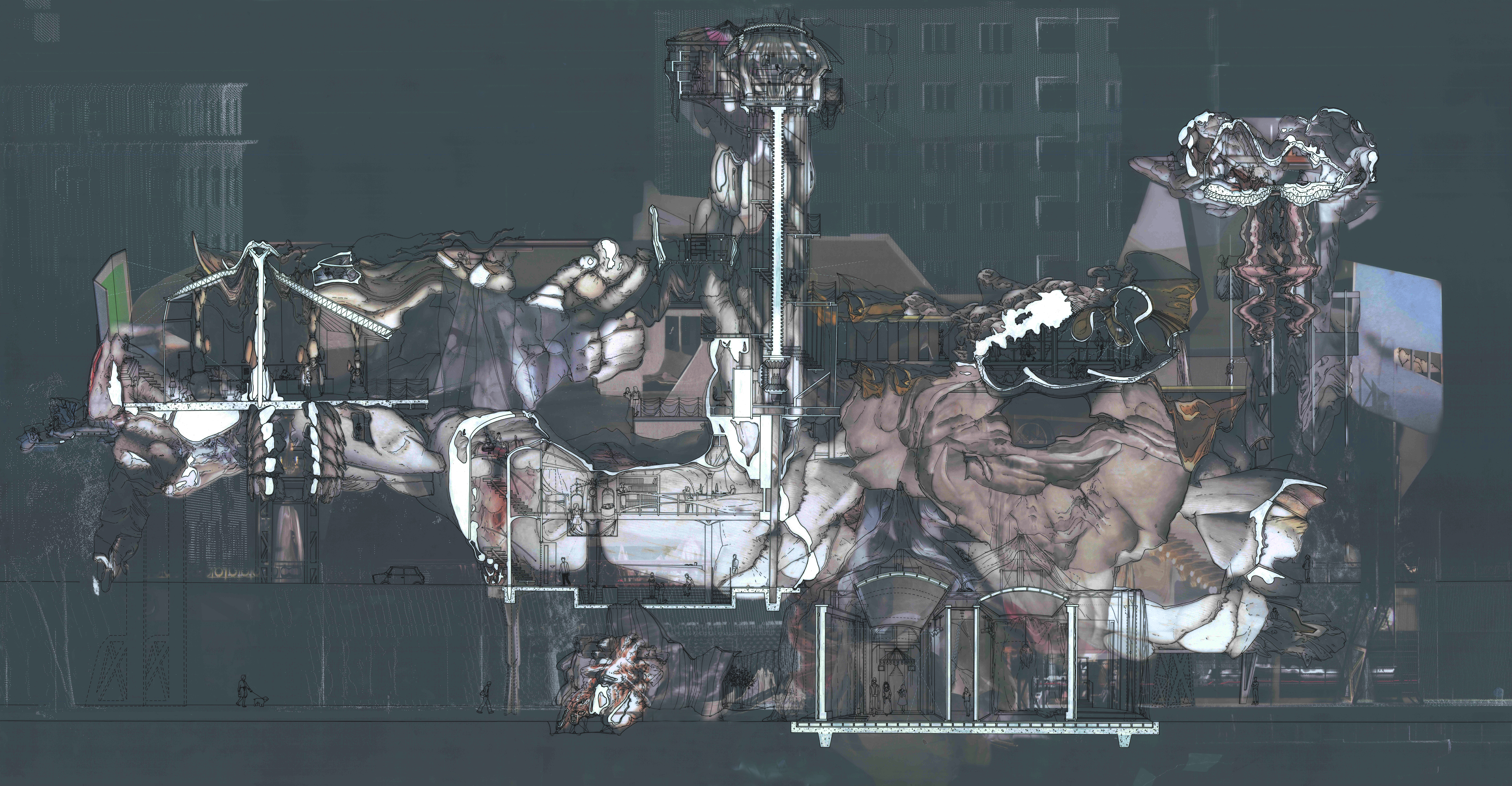 1-50 Back of House Sectional Elevation