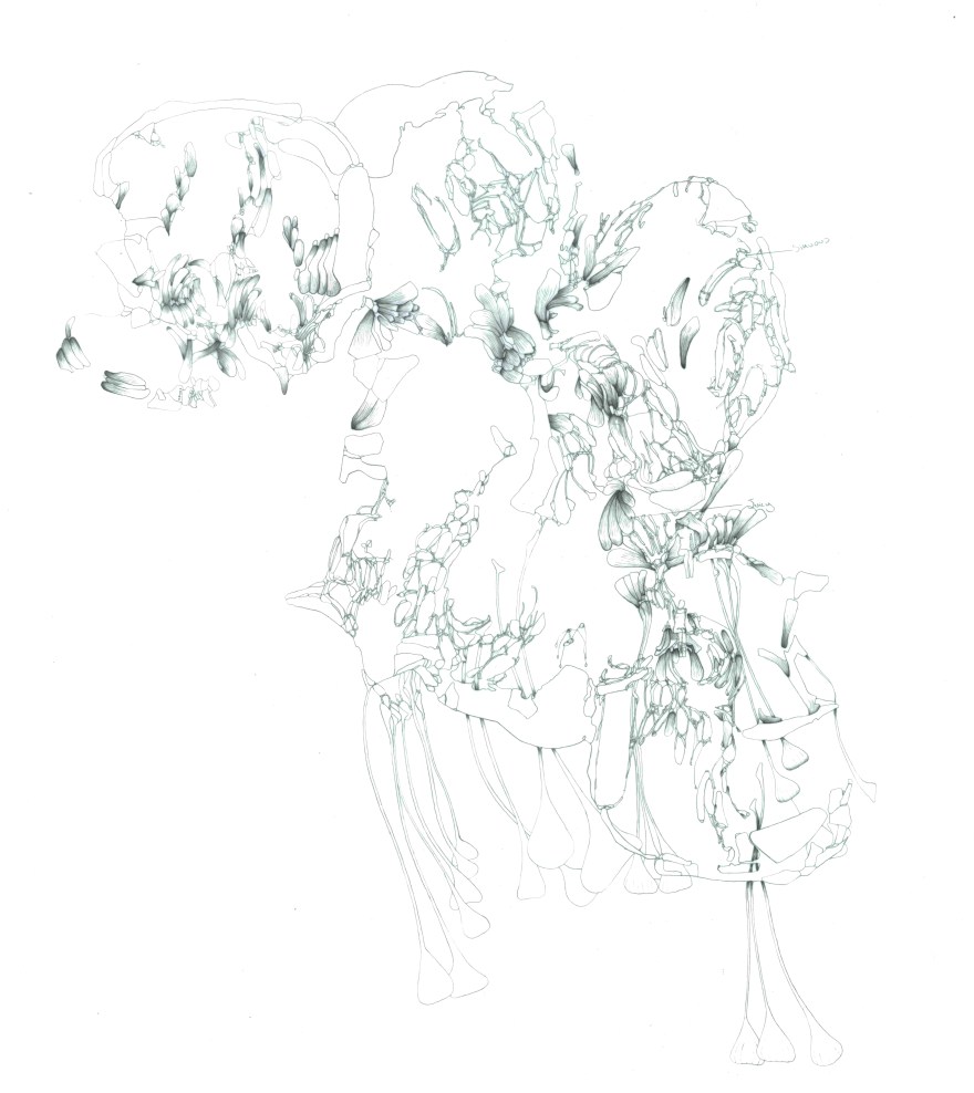 EARLY FLORAL DRAWING