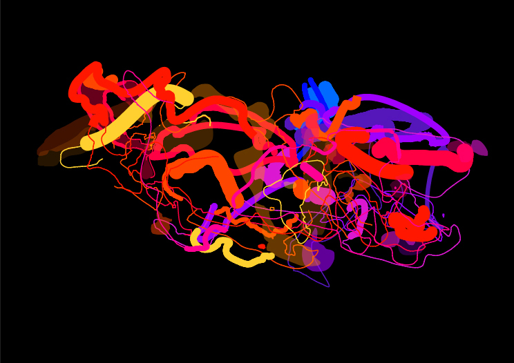 scan 04 contour boolean A2